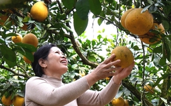 Đi qua các vùng đất hồi sinh sau bão lũ ở Yên Bái