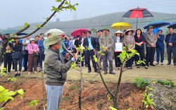 Giảm nghèo Ninh Bình, người Mường ở xã này có của ăn của để nhờ nuôi động vật hoang dã, trồng quả đặc sản