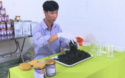 VIDEO: Bất ngờ Tổ Hợp tác một thôn của tỉnh Bắc Kạn có tới 10 nông sản, đặc sản, vườn đu đủ đẹp như phim