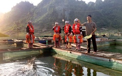 Đặc sản Tuyên Quang, bắt con "ngũ quý hà thủy" toàn thịt nạc này đem chiên giòn chấm tương ớt, ngon "nút lưỡi"