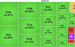 Cổ phiếu bất động sản nhuộm xanh: TCH, DXG, NVL, DIG,... cùng tăng mạnh