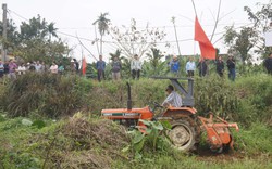 Quảng Nam: Hội Nông dân Điện Bàn ra quân diệt cây mai dương, xây dựng mô hình kinh tế cho hội viên nông dân