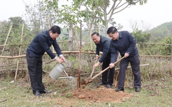 Phó Chủ tịch BCH Trung ương Hội NDVN Phạm Tiến Nam dự lễ phát động Tết trồng cây ở Hòa Bình