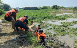 Tìm được thi thể 3 thanh niên đuối ở bến đò Cây Dương, Bến Tre