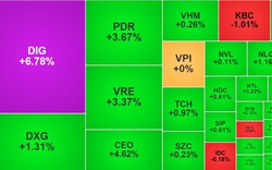 Cổ phiếu bất động sản tăng rực rỡ, loạt mã lớn: DIG, PDR, CEO,... nhuộm tím, xanh