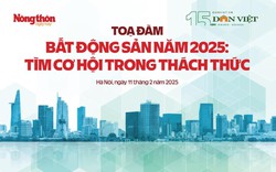 Năm 2025, điểm mấu chốt nào sẽ đưa phân khúc đất nền thắng lớn?