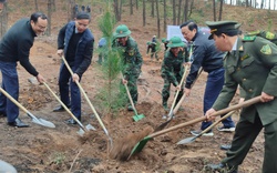 Phó Thủ tướng Trần Hồng Hà tham dự Tết trồng cây xuân Ất Tỵ tại Quảng Ninh