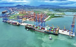 Dịch vụ cảng biển và logistics không ngừng phát triển: Ngành kinh tế mũi nhọn của Bà Rịa - Vũng Tàu