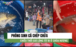 Chiêu trò lợi dụng lòng từ bi để thổi giá bán chim, cá phóng sinh ở chùa Hương 