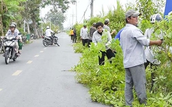 Một xã ở Tiền Giang có tuyến đường hoa nông thôn mới đẹp tinh tươm, dân tha hồ chụp hình, quay phim