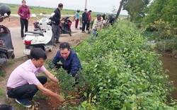 Hội Nông dân một huyện ở TP.Huế tặng mô hình tuyến đường hoa cho 3 xã 