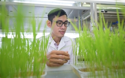 57 trong nông nghiệp: Cây trồng chỉnh sửa gen mỏi mòn chờ cơ chế và nỗi niềm nhà khoa học trẻ (Bài 6)