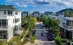 Thanh tra việc chuyển đổi mục đích sử dụng đất đối với 6 dự án ở Huế 