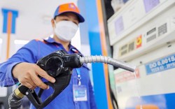 Giá xăng dầu hôm nay 20/3: Giá xăng dầu đồng loạt bật tăng
