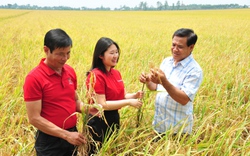 Agribank - 37 năm giữ lửa "Tam nông", bứt phá vào kỷ nguyên mới