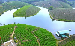 Nơi này ở Nghệ An la liệt hòn đảo, trồng bạt ngàn thứ cây xanh mướt, dân tình đang ra quay phim, chụp ảnh