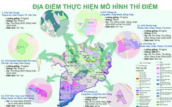 1 năm triển khai Đề án 1 triệu ha lúa chất lượng cao: Nông dân đã thay đổi phương thức canh tác như thế nào?