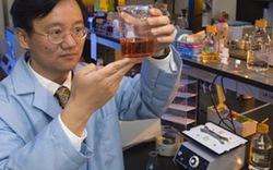 Biến gỗ thành đồ ăn, thế giới sắp hết nạn đói?