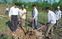 Khi nông dân giải đáp được câu hỏi &#34;Trồng cây gì, nuôi con gì hiệu quả?&#34; nhờ Hội