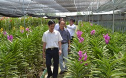 Dấu ấn từ nông thôn mới