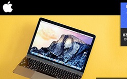 Vì sao Apple vẫn là thương hiệu máy tính hàng đầu thế giới?