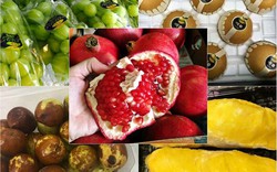 Hà thành sính đồ ngoại: Từ táo dại thâm xỉn đến nho lạ đắt vô địch