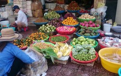 Cận Tết: Rau quả truy xuất nguồn gốc bằng Zalo "cháy" hàng