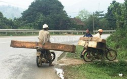 Ngang nhiên chở gỗ lậu "khủng" trên quốc lộ như chốn không người