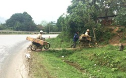 Vụ chở gỗ lậu trên quốc lộ: Dân thấy dễ dàng quá nên mới phá rừng!