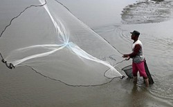 Nông dân nuôi tôm Indonesia được bảo hiểm 100% nếu sản xuất thua lỗ