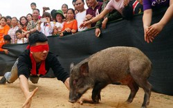 Ảnh, clip: Ôm bụng cười xem nam nữ bịt mắt bắt lợn rừng ở Bắc Giang