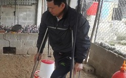 Khâm phục: Bị liệt 2 chân vẫn "sống khỏe có ích" nhờ nuôi gà sao