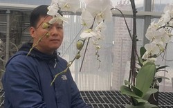 Hoa Tết: 8X đất cố đô kiếm bộn tiền nhờ trồng lan hồ điệp