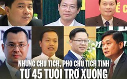 Infographic: Những Chủ tịch, Phó Chủ tịch tỉnh từ 45 tuổi trở xuống