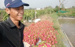 Làm báo cùng Dân Việt: Giữa dịch corona, thương nông dân mình quá!