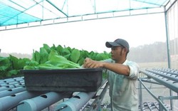 TP.HCM thí điểm xây dựng công trình phụ trên đất nông nghiệp