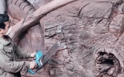 Video: Biến khúc gỗ khổng lồ thành môtô siêu khủng