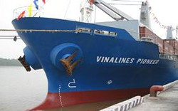 Vinalines “tậu” nhiều tàu cũ