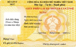 Trường hợp nào được cấp bằng lái xe mẫu mới?