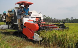 Giảm lãi suất,  không phải thế chấp 