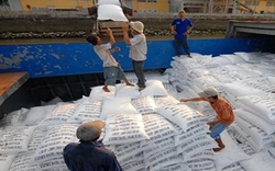 Hạ mục tiêu xuất khẩu gạo 