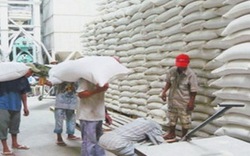  ASEAN + 3 sẽ tăng cường dự trữ gạo khẩn cấp 
