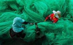Bức ảnh ngư dân Việt Nam đoạt giải nhất nhiếp ảnh ở Mỹ