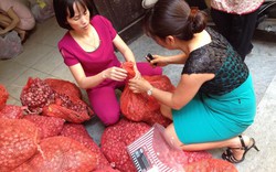 Mỗi kg hành là mỗi sự lay động tình người