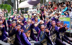 Đà Nẵng sẽ có Lễ hội Hanami đầu tiên
