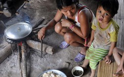 58 tỉnh, thành đã có kết quả khảo sát hộ nghèo