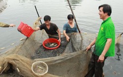 Nơi nhà nông gửi gắm niềm tin