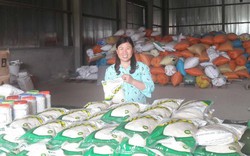 Nông dân đi nước ngoài học làm nông nghiệp