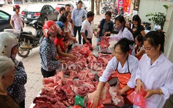 Sở NN Vĩnh Phúc mua lợn đắt bán thịt rẻ, 40 tấn thịt hết veo