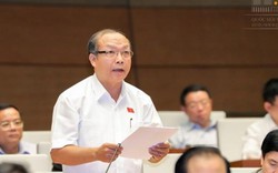 Phẫn nộ vì nhiều 'đất vàng' rơi vào tay doanh nghiệp 'sân sau'